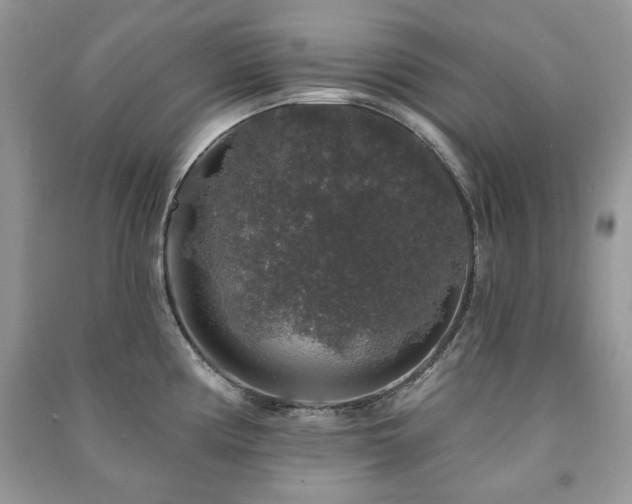 X0000091211194200708091341
