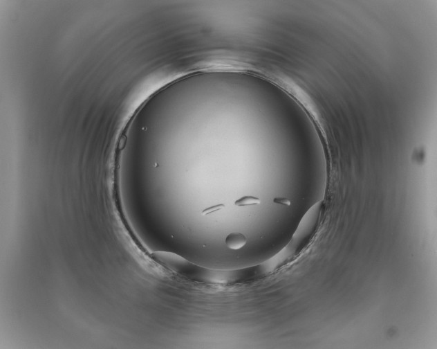 X0000091211195200708091341