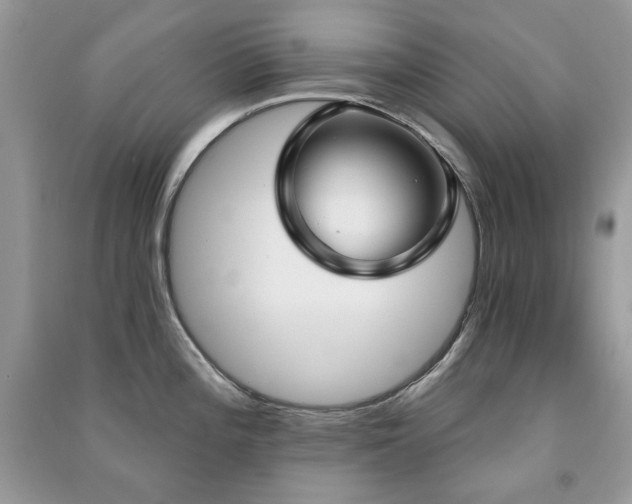 X0000091211196200708091341