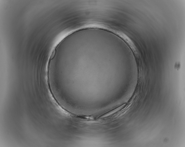 X0000091211199200708091341