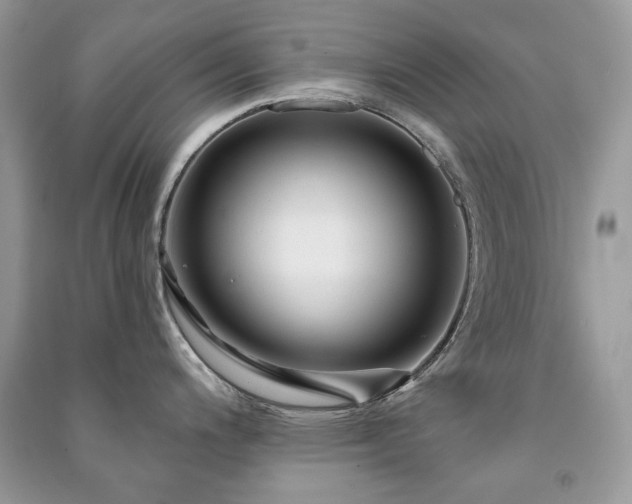 X0000091211200200708091341