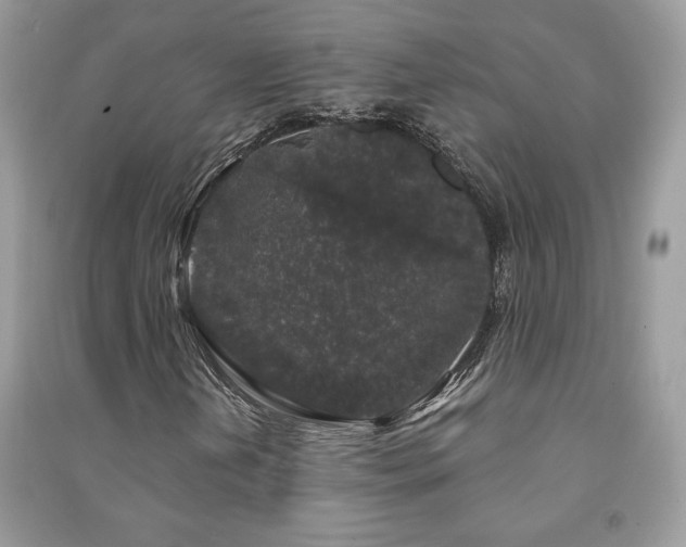 X0000091211202200708091340