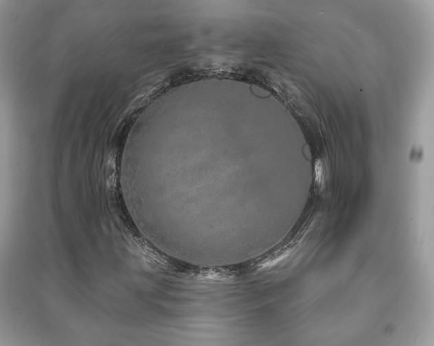 X0000091211203200708091340