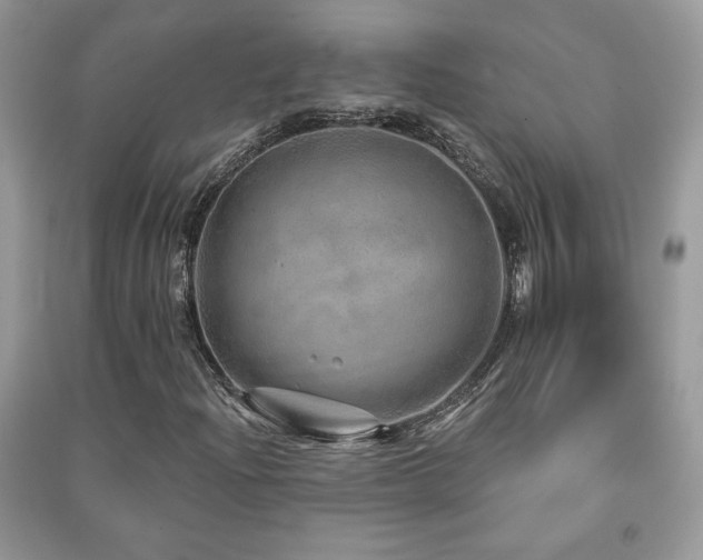 X0000091211204200708091340