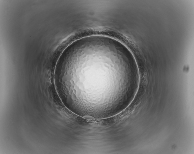 X0000091211205200708091340