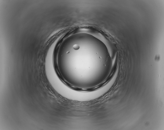 X0000091211206200708091340