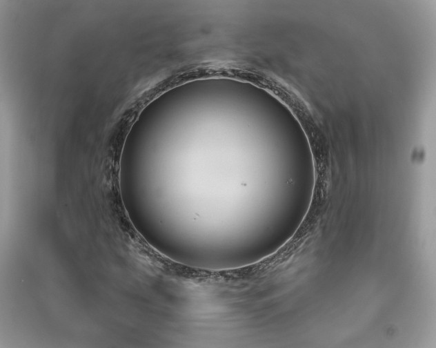 X0000091211207200708091340