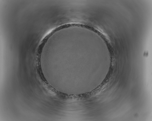 X0000091211208200708091340