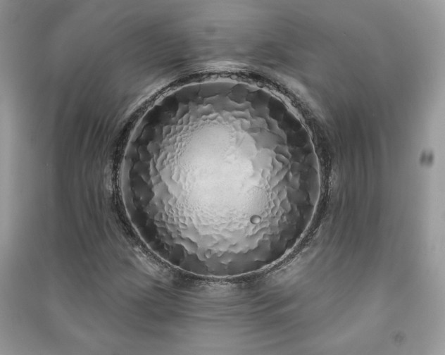 X0000091211209200708091340