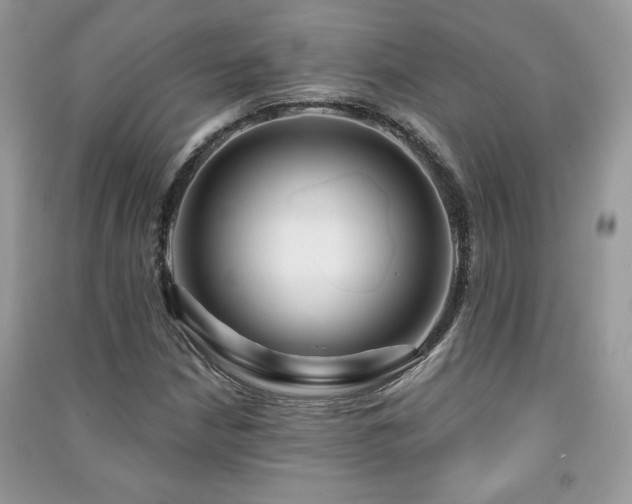 X0000091211210200708091340