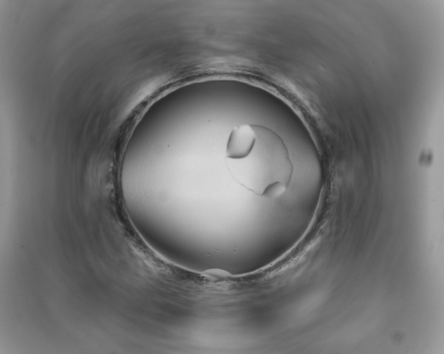 X0000091211211200708091340
