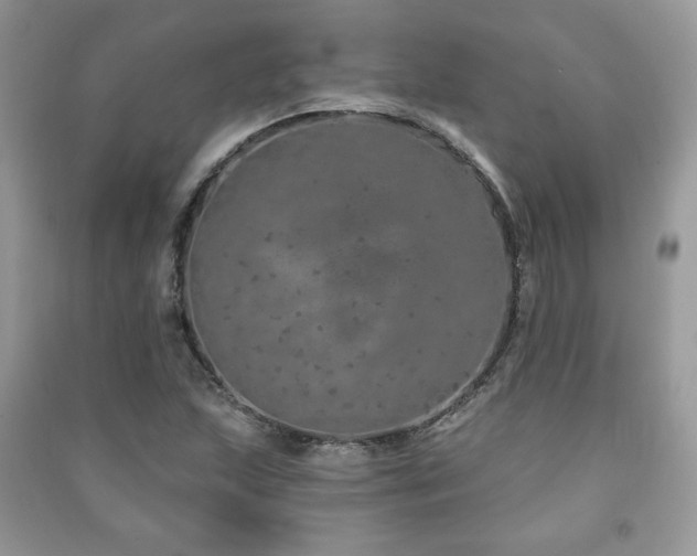 X0000091211215200708091340