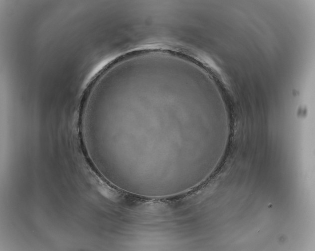 X0000091211216200708091340