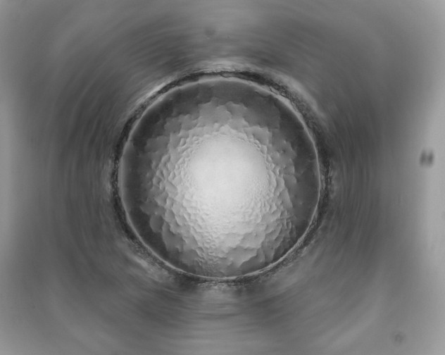 X0000091211217200708091340