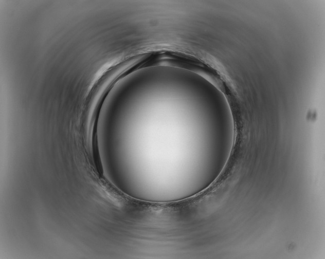 X0000091211218200708091340