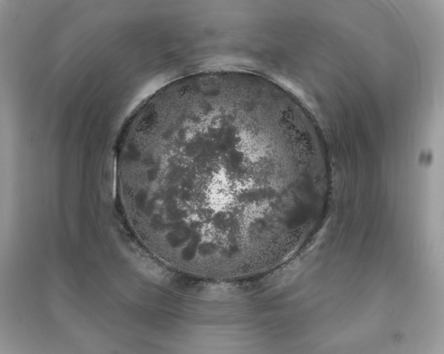 X0000091211219200708091340