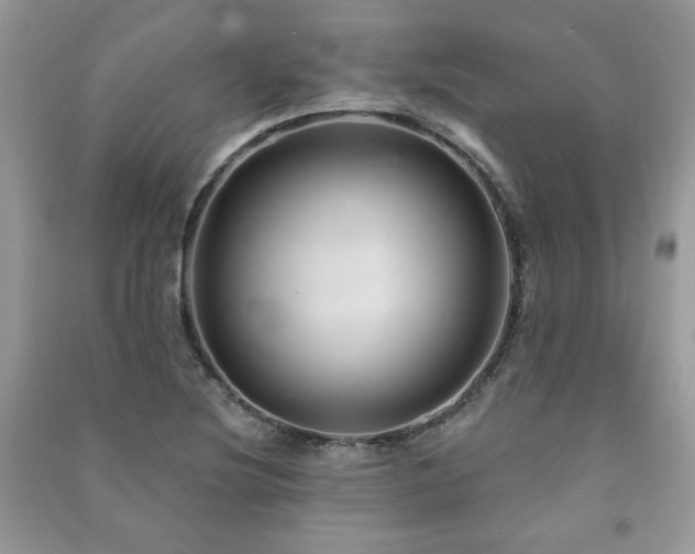 X0000091211220200708091340