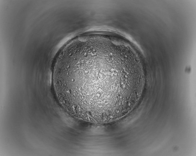 X0000091211221200708091340