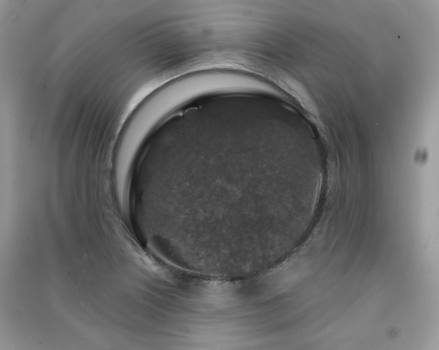 X0000091211226200708091340