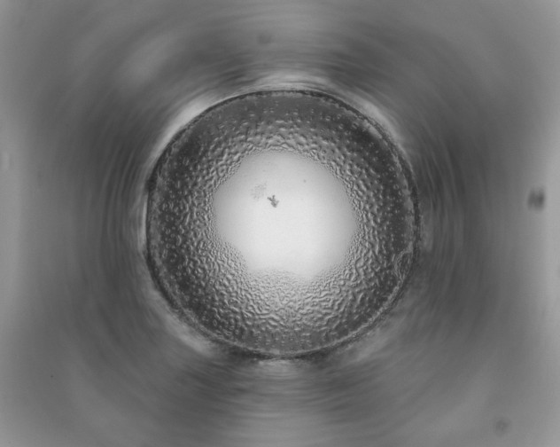 X0000091211227200708091340