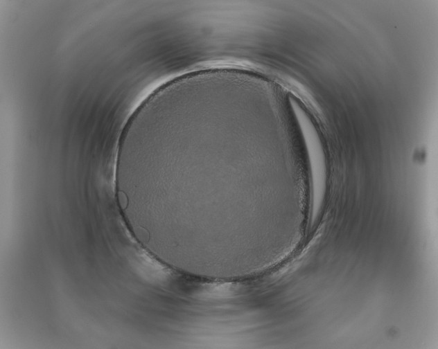 X0000091211228200708091340
