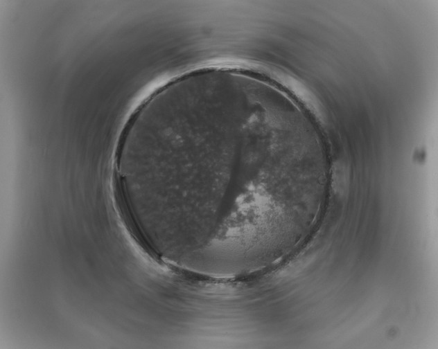 X0000091211229200708091340