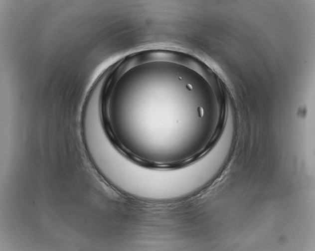 X0000091211230200708091340