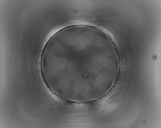X0000091211231200708091340