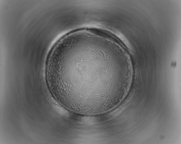X0000091211232200708091340