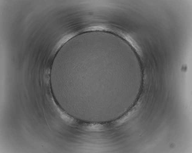 X0000091211233200708091341