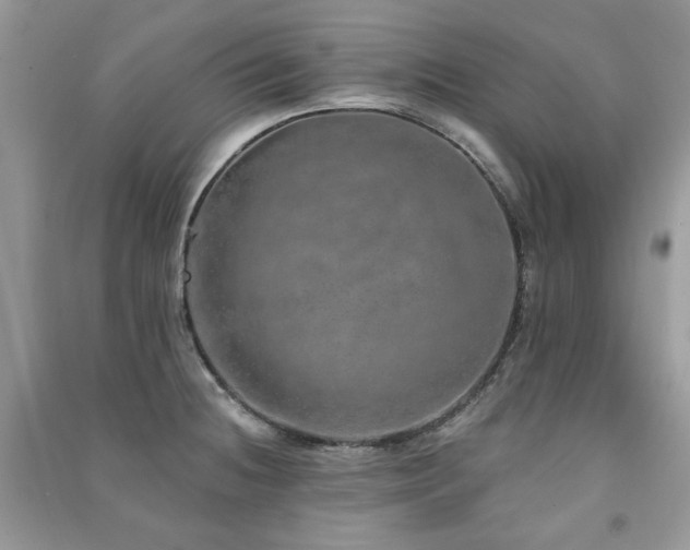 X0000091211236200708091341