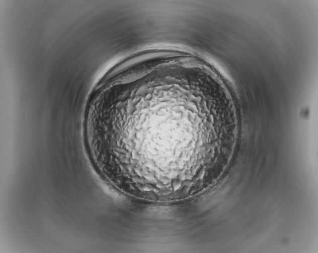 X0000091211237200708091341