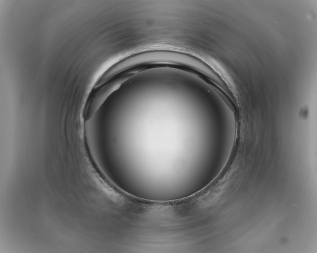 X0000091211238200708091341