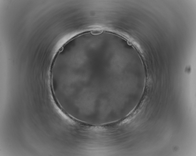 X0000091211239200708091341