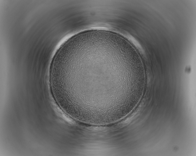X0000091211240200708091341