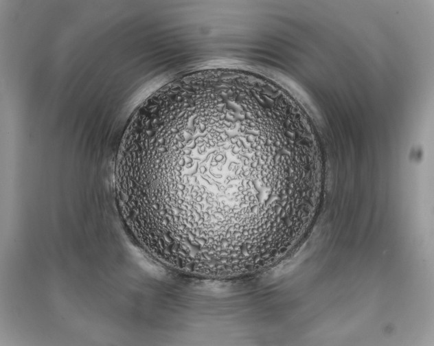 X0000091211241200708091341