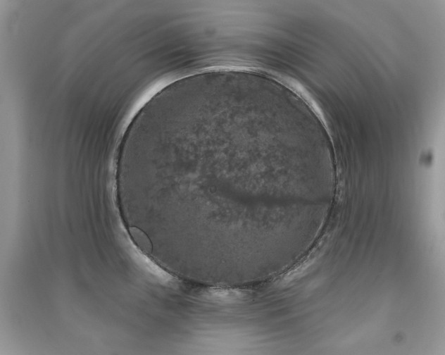 X0000091211243200708091341