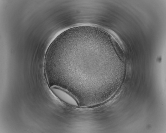 X0000091211244200708091341