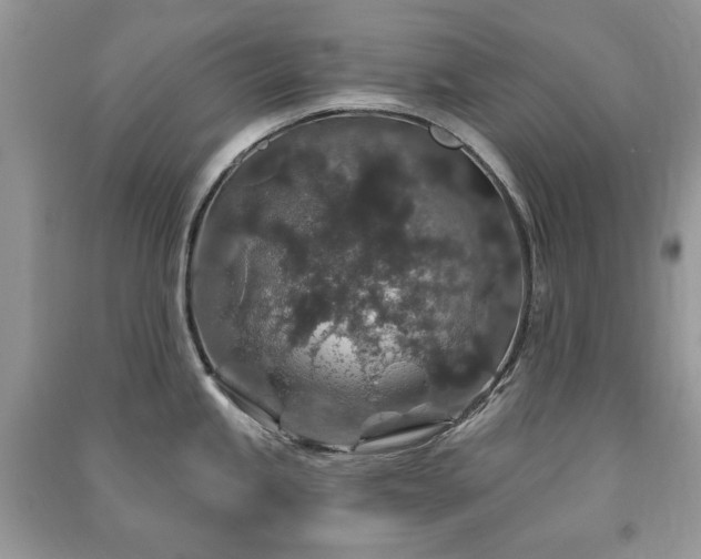 X0000091211245200708091341