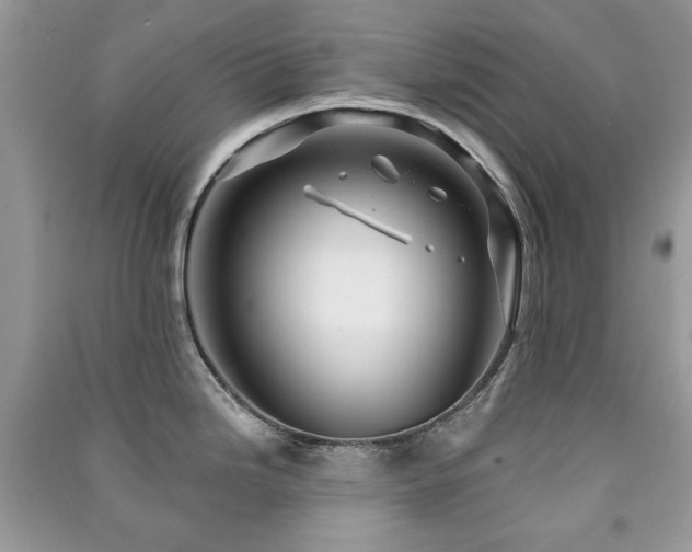 X0000091211246200708091341
