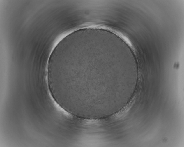X0000091211247200708091341