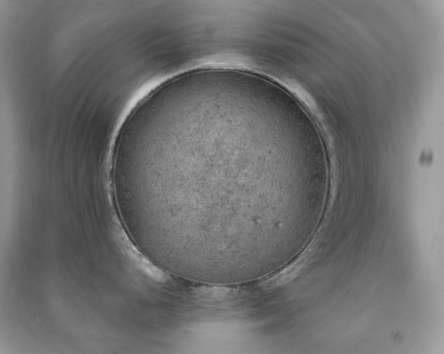 X0000091211248200708091341