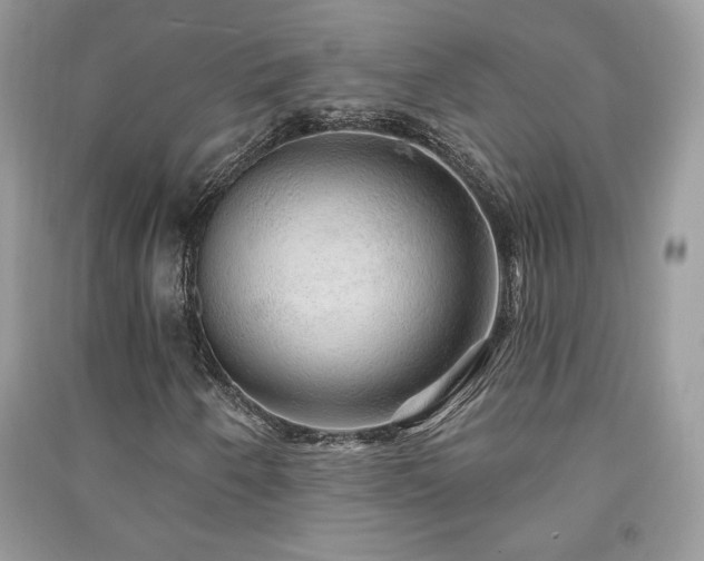 X0000091211250200708091340