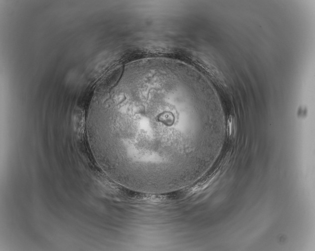 X0000091211251200708091340