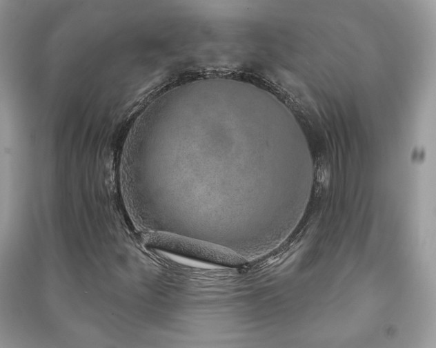 X0000091211252200708091340
