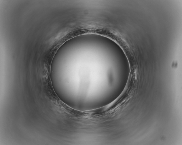 X0000091211253200708091340