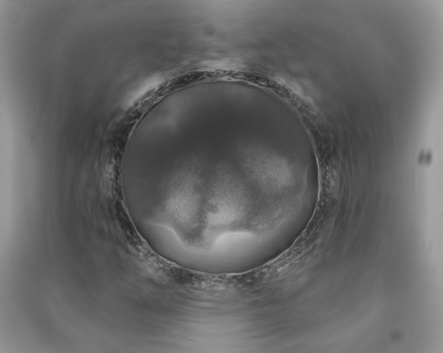 X0000091211254200708091340