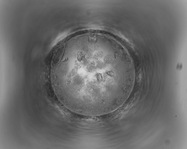 X0000091211255200708091340