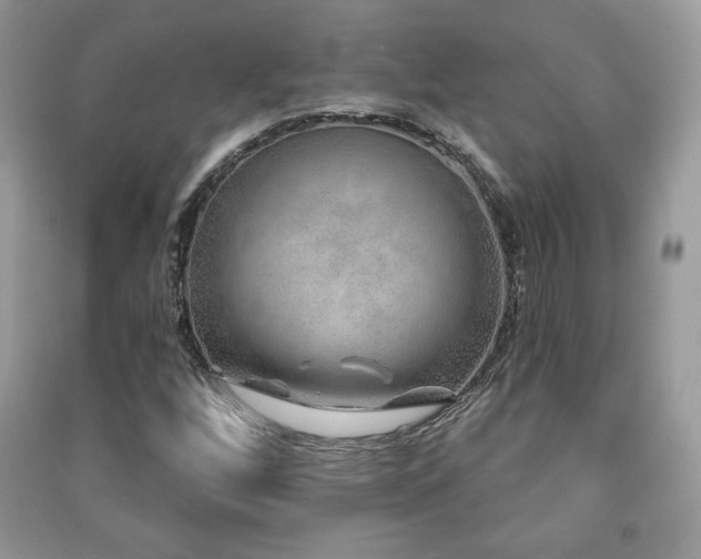 X0000091211256200708091340
