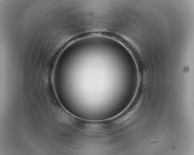 X0000091211257200708091340